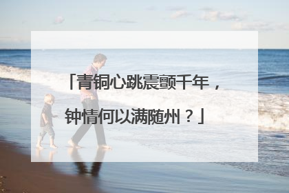 青铜心跳震颤千年，钟情何以满随州？
