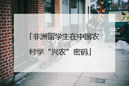 非洲留学生在中国农村学“兴农”密码