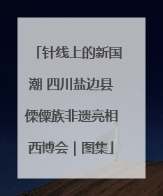 针线上的新国潮 四川盐边县傈僳族非遗亮相西博会｜图集