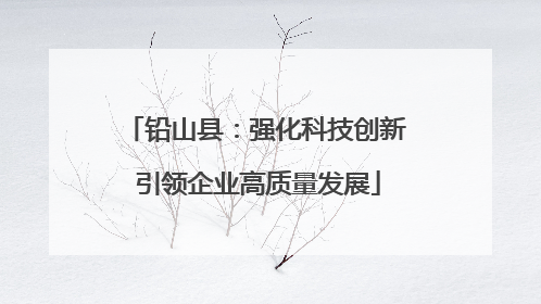 铅山县：强化科技创新 引领企业高质量发展