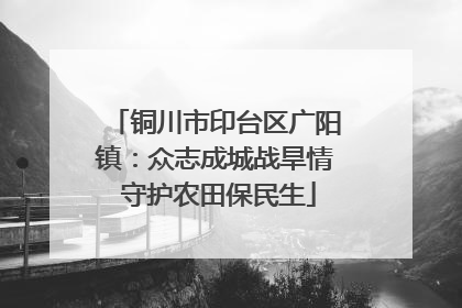 铜川市印台区广阳镇：众志成城战旱情 守护农田保民生