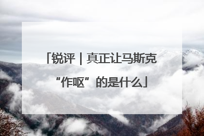 锐评｜真正让马斯克“作呕”的是什么
