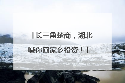 长三角楚商，湖北喊你回家乡投资！
