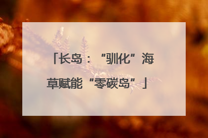 长岛：“驯化”海草赋能“零碳岛”