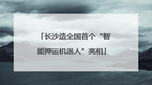 长沙造全国首个“智能押运机器人”亮相