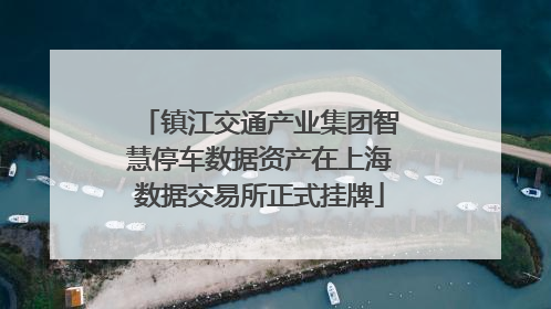 镇江交通产业集团智慧停车数据资产在上海数据交易所正式挂牌