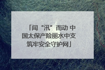 闻“汛”而动 中国太保产险丽水中支筑牢安全守护网