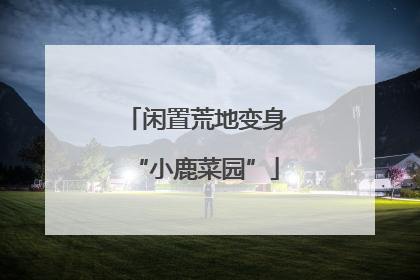闲置荒地变身“小鹿菜园”