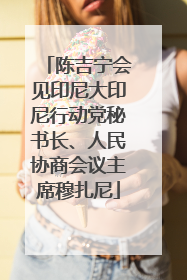 陈吉宁会见印尼大印尼行动党秘书长、人民协商会议主席穆扎尼