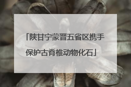 陕甘宁蒙晋五省区携手保护古脊椎动物化石