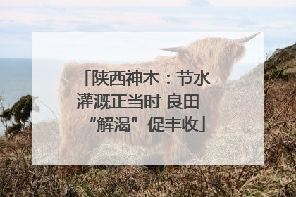 陕西神木：节水灌溉正当时 良田“解渴”促丰收