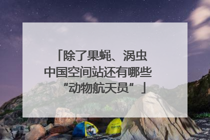 除了果蝇、涡虫 中国空间站还有哪些“动物航天员”