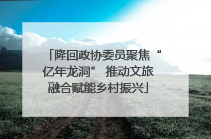 隆回政协委员聚焦“亿年龙洞” 推动文旅融合赋能乡村振兴