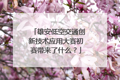 雄安低空交通创新技术应用大赛初赛带来了什么？