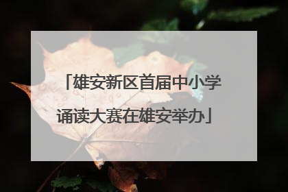 雄安新区首届中小学诵读大赛在雄安举办