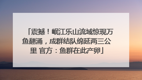 震撼！岷江乐山流域惊现万鱼翻涌，成群结队绵延两三公里 官方：鱼群在此产卵
