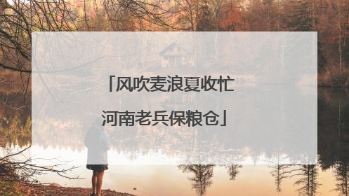 风吹麦浪夏收忙 河南老兵保粮仓