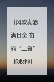 风吹麦浪满目金 奋战“三夏”抢收种