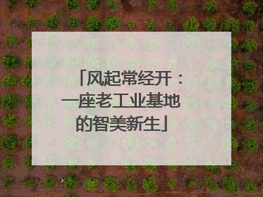 风起常经开：一座老工业基地的智美新生
