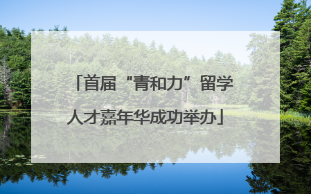 首届“青和力”留学人才嘉年华成功举办