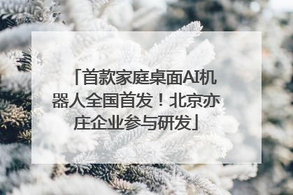 首款家庭桌面AI机器人全国首发！北京亦庄企业参与研发
