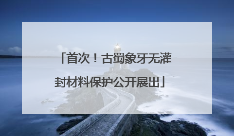 首次！古蜀象牙无灌封材料保护公开展出
