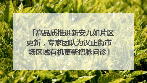 高品质推进新安九如片区更新，专家团队为汉正街市场区域有机更新把脉问诊