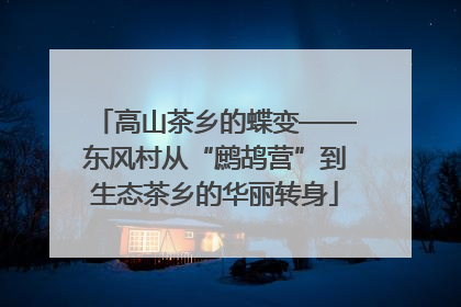 高山茶乡的蝶变——东风村从“鹧鸪营”到生态茶乡的华丽转身