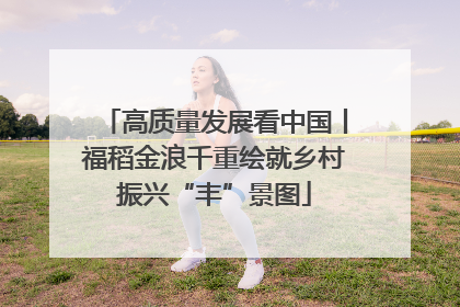 高质量发展看中国丨福稻金浪千重绘就乡村振兴“丰”景图