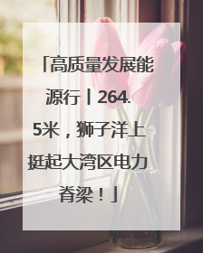 高质量发展能源行丨264.5米，狮子洋上挺起大湾区电力脊梁！