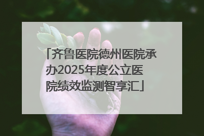 齐鲁医院德州医院承办2025年度公立医院绩效监测智享汇