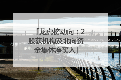 龙虎榜动向：2股获机构及北向资金集体净买入