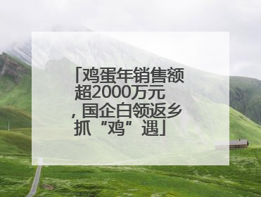 鸡蛋年销售额超2000万元，国企白领返乡抓“鸡”遇