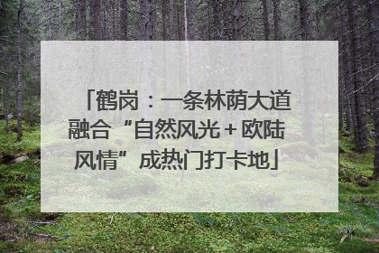 鹤岗：一条林荫大道融合“自然风光＋欧陆风情”成热门打卡地