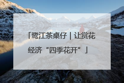 鹭江茶桌仔｜让赏花经济“四季花开”