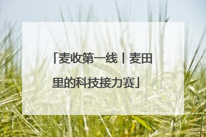 麦收第一线丨麦田里的科技接力赛