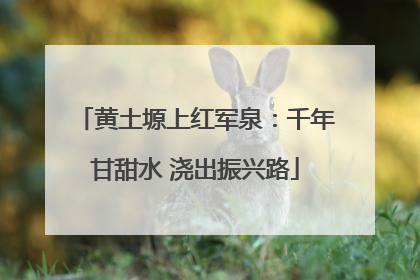 黄土塬上红军泉：千年甘甜水 浇出振兴路
