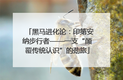 黑马进化论：印第安纳步行者——一支“颠覆传统认识”的劲旅