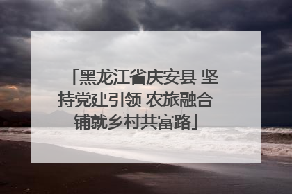 黑龙江省庆安县 坚持党建引领 农旅融合铺就乡村共富路