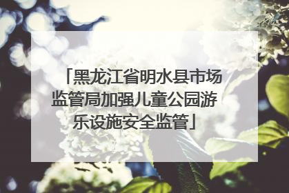 黑龙江省明水县市场监管局加强儿童公园游乐设施安全监管