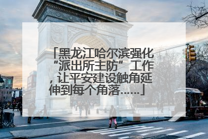 黑龙江哈尔滨强化“派出所主防”工作，让平安建设触角延伸到每个角落……
