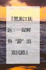 黑龙江抚远：一尾鲜鱼“游”出富民路