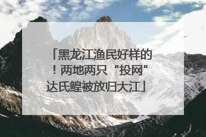 黑龙江渔民好样的！两地两只“投网”达氏鳇被放归大江