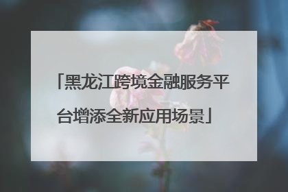 黑龙江跨境金融服务平台增添全新应用场景