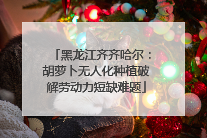 黑龙江齐齐哈尔：胡萝卜无人化种植破解劳动力短缺难题