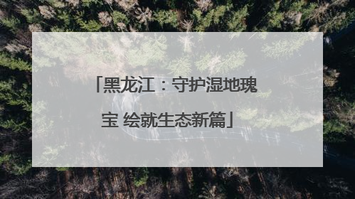 黑龙江：守护湿地瑰宝 绘就生态新篇