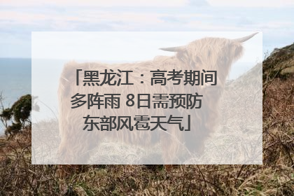 黑龙江：高考期间多阵雨 8日需预防东部风雹天气