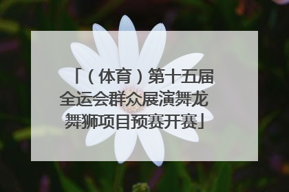 （体育）第十五届全运会群众展演舞龙舞狮项目预赛开赛