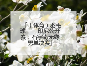 （体育）羽毛球——印尼公开赛：石宇奇无缘男单决赛
