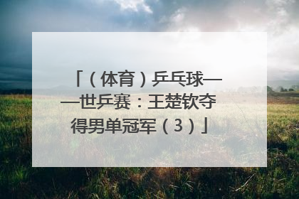 （体育）乒乓球——世乒赛：王楚钦夺得男单冠军（3）